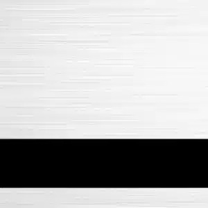 Brushed (Shiny) Silver Black new