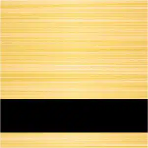 Radiant Gold Black color